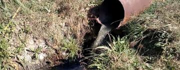 Нечистоты из Молдовы загрязняют озеро в Одесской области