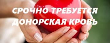 В Болграде местный житель на улице стрелял в собак, а попал в прохожего: срочно необходима донорская кровь