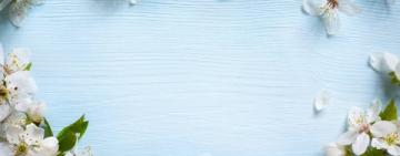 Тепло вернется, но весна будет нестабильной: погода на апрель, Пасху и майские