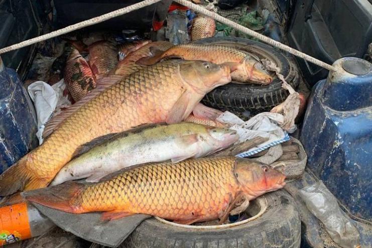 На Одещині водна поліція затримала трьох браконьєрів