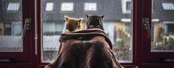 Два циклона принесут в Украину похолодание, дожди и мокрый снег