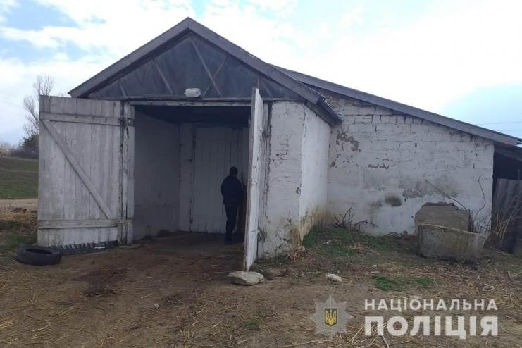 В Одесской области двое несовершеннолетних украли теленка с фермы