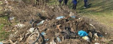 Павлівська громада на толоці до Всеукраїнської акції з благоустрою 