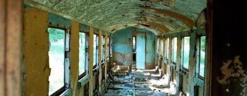 Они будто живые !