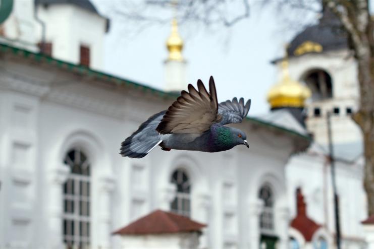 Богослужения в храмах г. Арциз с 19 по 25 апреля. Седмица 6-я Великого поста    