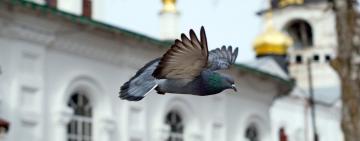 Богослужения в храмах г. Арциз с 19 по 25 апреля. Седмица 6-я Великого поста    