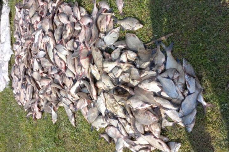 В Ренийской громаде браконьер наловил 200 кг рыбы в запрет