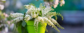 ГОРОСКОП НА МАЙ-2021