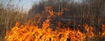 ⚡️ 5 МАЯ - ВЫСОКИЙ УРОВЕНЬ ПОЖАРНОЙ ОПАСНОСТИ В 14 ОБЛАСТЯХ УКРАИНЫ - ГСЧС