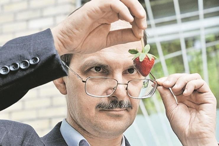 ПЕРВАЯ КЛУБНИКА: РЕКОМЕНДАЦИИ, ПРЕДОСТЕРЕЖЕНИЯ И КОМУ ОНА ПРОТИВОПОКАЗАНА