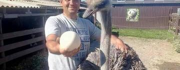 ФЕРМА ХАДЖИДЕР НА УЗБЕРЕЖЖІ ЛИМАНУ 