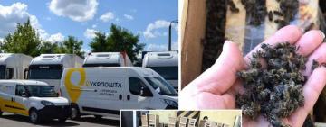  В грузовике "Укрпочты" погибли 8 млн пчел: пчеловоды намерены подавать в суд