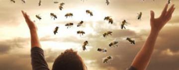 Канонізувати Укрпошту: межу заполонили меми про "воскреслих" закарпатських бджіл