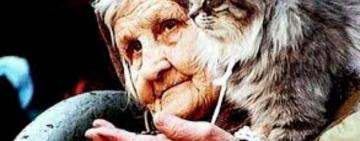 Поліція виявила в одеській квартирі змучених собак і мертвих котів  