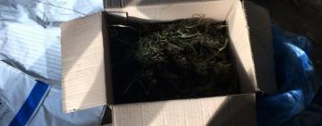 Трьох мешканців Болградського району викрили у наркозлочинах та незаконному зберіганні зброї 