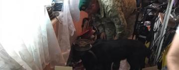У жителя Болградского района служебный пес пограничников обнаружил наркотики