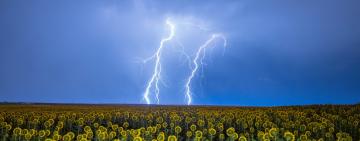 ПОГОДА В ИЮНЕ: КРАТКИЙ ПРОГНОЗ