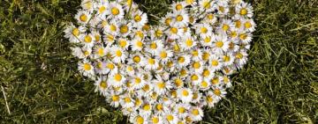 Астрологический прогноз на июнь 2021 для всех знаков зодиака