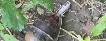 В АККЕРМАНЕ ВО ВРЕМЯ ПОКОСА ТРАВЫ ОБНАРУЖИЛИ РУЧНУЮ ГРАНАТУ