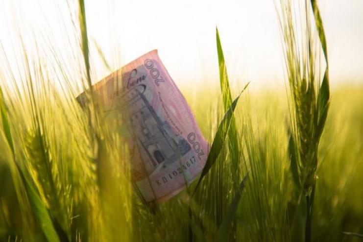 ФЕРМЕРИ ОДЕСЬКОЇ ОБЛАСТІ ОТРИМАЮТЬ 240 МІЛЬЙОНІВ ПІДТРИМКИ ВІД ДЕРЖАВИ