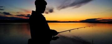 Сьогодні Всесвітній день рибальства. До 2050 року в українських водоймах зникне риба