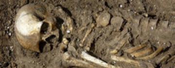 Вчені довели, що перша пандемія коронавірусу сталася 20 тисяч років тому