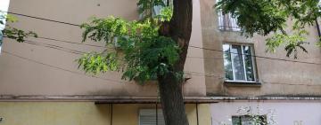 Дерзкое ограбление в Измаиле: злоумышленник избил и ограбил знакомую 