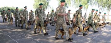 СОБАКИ ІЗМАЇЛЬСЬКОГО ЗАГОНУ УРОЧИСТО ПРОЙДУТЬ ХРЕЩАТИКОМ