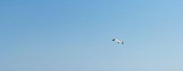 Осторожно – медузы: после купания в море тело ребенка покрылось красными пятнами (фото)