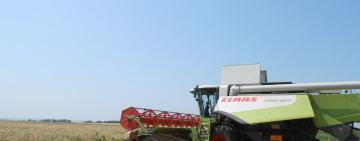 На Тарутинщине  уборка ранних зерновых в завершительной стадии