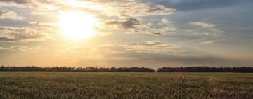 Програма страхування врожаю запрацює вже восени поточного року