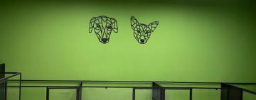 Апартаменты с лежаками, едой и нянечками: в Одессе появилась зоогостиница  