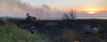 10 тысяч м² охватило пламенем: масштабный пожар за Лебедёвкой