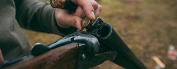 Не хотела выполнять команды: в Одессе мужчина застрелил свою собаку