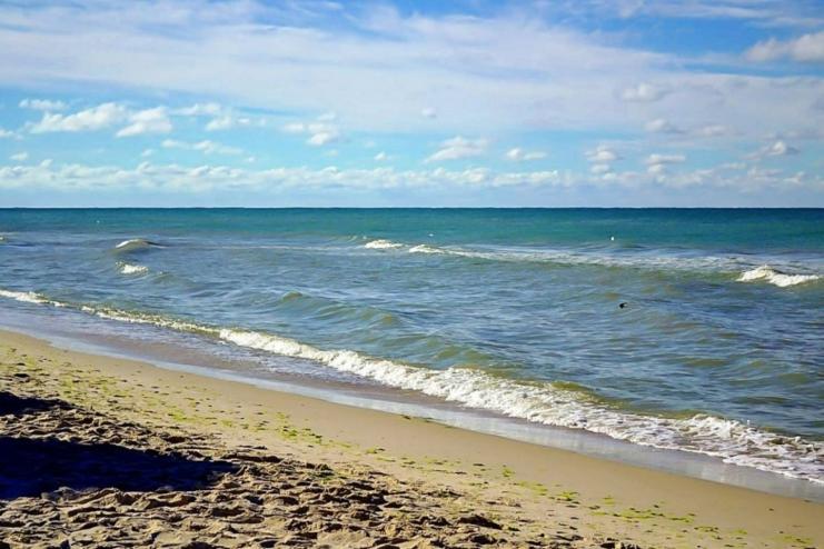 Улюблені курорти Одещини не пройшли перевірку морської води