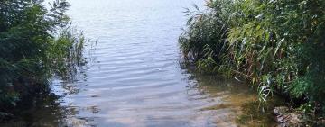 У Вилковому під час купання у Дунаї зник 26-річний хлопець