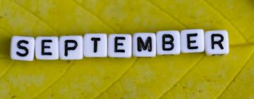 Выплата пенсий и "декретных", новый учебный год и рост цен: какие изменения ждут Украину в сентябре 