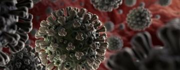 В ЮАР обнаружили новый вариант коронавируса