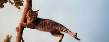 В Одесскую область врывается резкое похолодание из Арктики