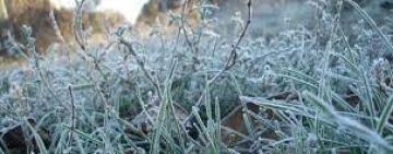 В Україну йдуть заморозки – ДСНС