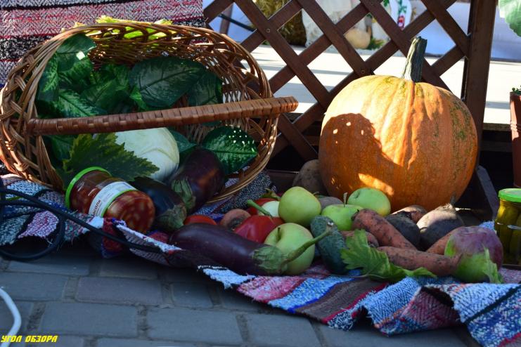В Арцизе пройдет ярмарка сельхозпродукции: что готовят организаторы