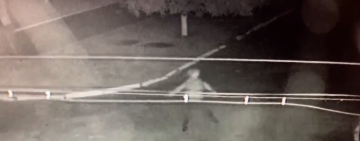 В Ренийской громаде кинули гранаты во дворы двух фермеров