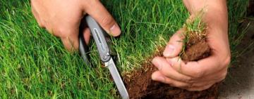 Обвинувальний акт щодо мешканця Тарутинщини, який самовільно зайняв земельну ділянку, направлено до суду