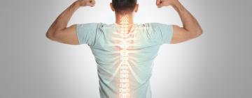 Быть лучшей версией себя. Часть 2: позвоночный столб/Позвоночник.