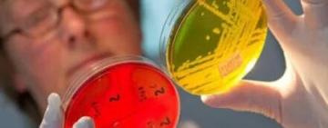 Детсад в Одесской области, где отравились дети, закрыли - подозревают золотистый стафилококк