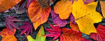 ПРАЗДНИКИ И ВЫХОДНЫЕ В ОКТЯБРЕ-2021