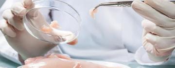 На прилавки Одесской области могла попасть курятина и индюшатина с сальмонеллой