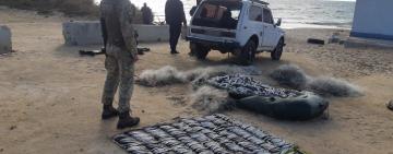 В Татарбунарском районе пограничники задержали браконьеров с уловом кефали на 2 млн грн
