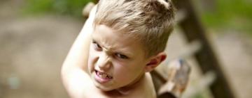 Откуда в детях жестокость? 