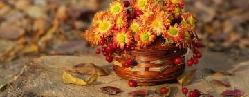 Гороскоп Павла Глобы на октябрь 